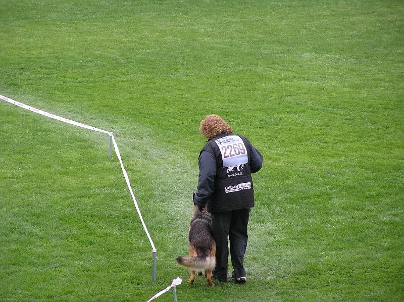15-9-08 071.jpg